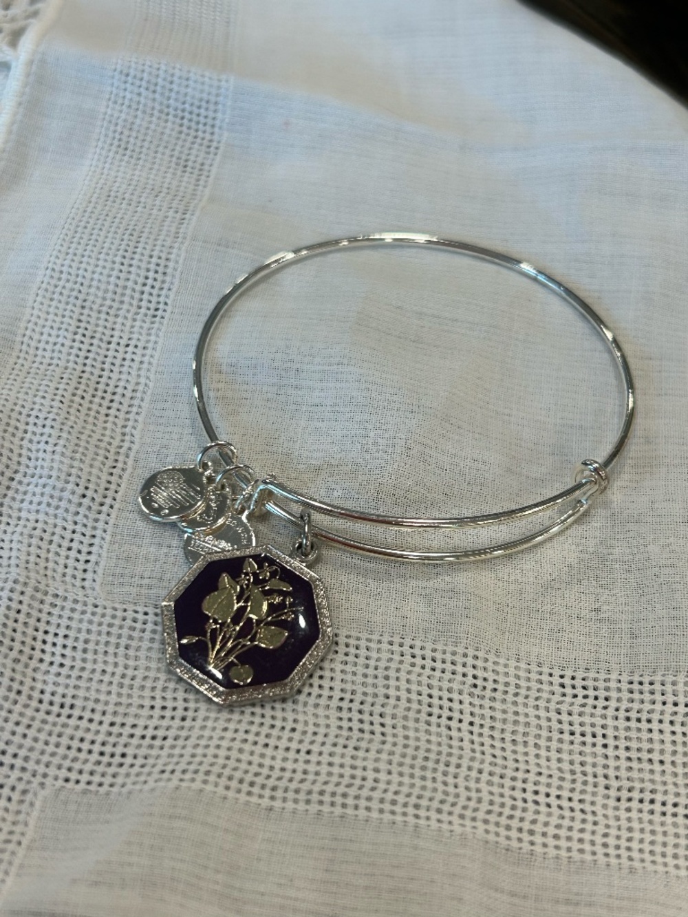 Alex and Ani silver birth-flower bangle in "Violet"